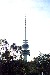 Telstra Tower